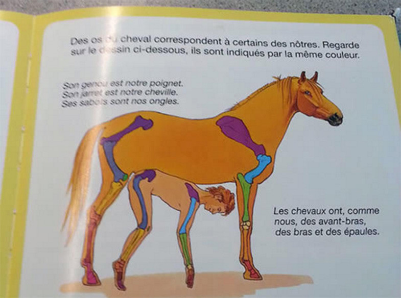 Des livres pour enfants à connotation franchement sexuelle