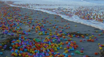 Des milliers d&rsquo;oeufs Kinder se sont échoués sur une plage allemande