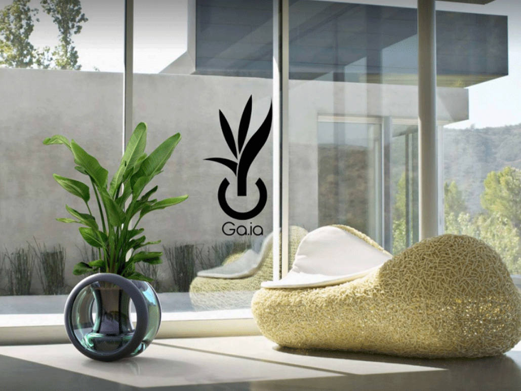 Des plantes autonomes, c&rsquo;est pour bientôt !