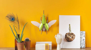 Des scarabées en carton et papier