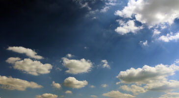 Devenons-nous tous des faux angoissés ?