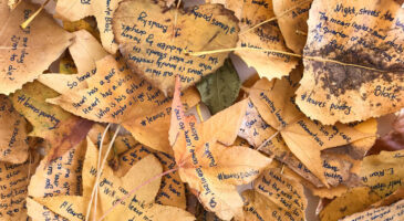 Elle a écrit sur des feuilles et les a dispersées dans Manhattan.