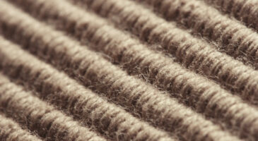 Et si on tentait la moquette ?