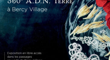 Exposition Mathilde de l&rsquo;Ecotais, 360° ADN Terre
