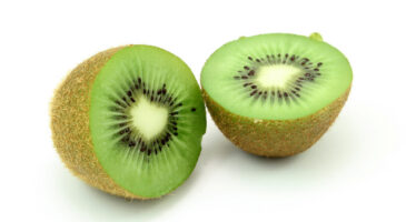 Fatigue : les aliments pour éviter les coups de barre