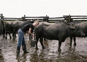 La nouvelle émission culinaire de Julie Andrieu : Fourchette et sac à dos