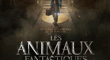 Gros casting pour Les animaux fantastiques 2 !  A vous de jouer !