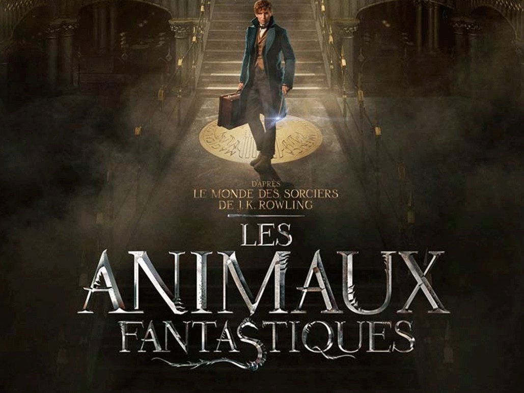 Gros casting pour Les animaux fantastiques 2 !  A vous de jouer !