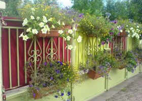 J&rsquo;habille mon portail aux couleurs de l&rsquo;&eacute;t&eacute;                                                                                                       J…