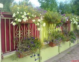 J&rsquo;habille mon portail aux couleurs de l&rsquo;&eacute;t&eacute;                                                                                                       J…