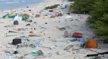 L’Ile Henderson : une île déserte couverte de déchets plastiques