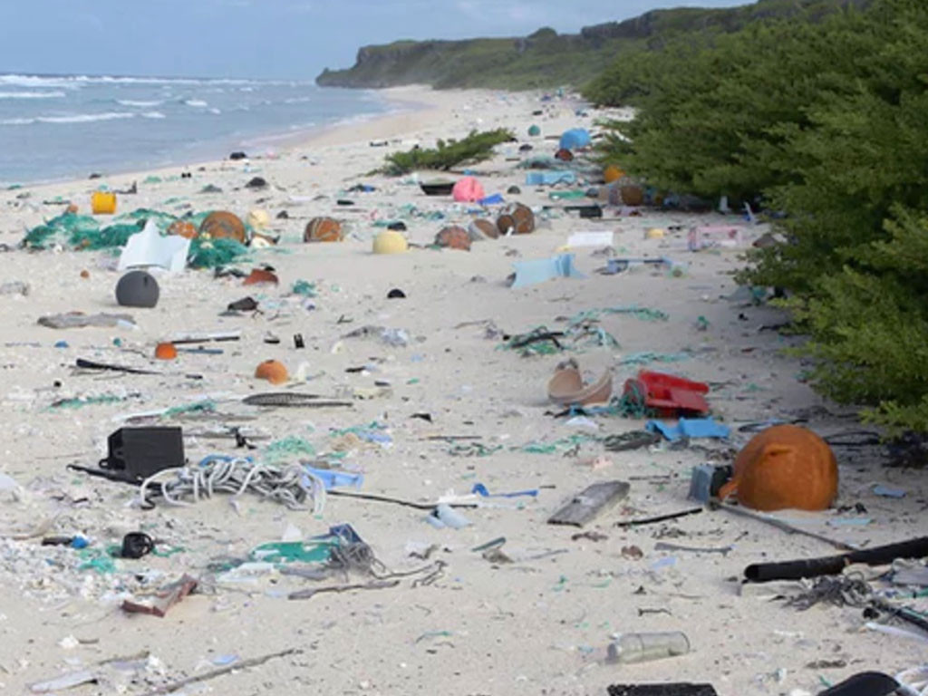 L’Ile Henderson : une île déserte couverte de déchets plastiques