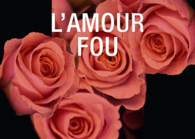 Livre – L&rsquo;amour fou