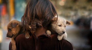 L’animal de compagnie, un anti-allergène naturel