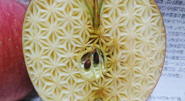 L&rsquo;artiste japonais Gaku sculpte les légumes de manière impressionnante