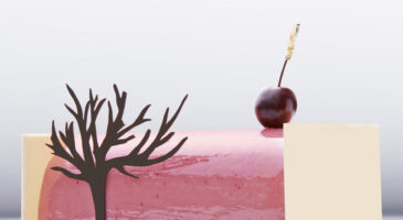 La bûche de Noël, toutes les tendances pour l’hiver 2016.