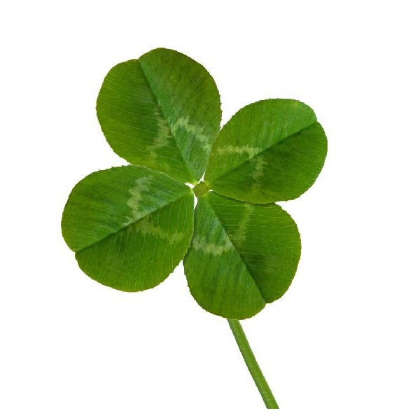 La chance n&rsquo;a rien à voir avec ça