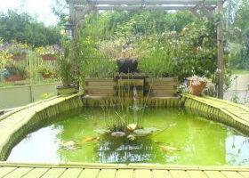 La magie champêtre d&rsquo;un bassin  de plantes à portée de la main.