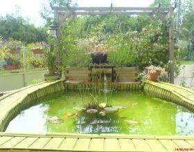 La magie champêtre d&rsquo;un bassin  de plantes à portée de la main.