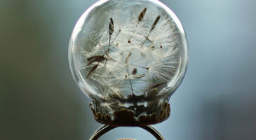 La magie des bagues globe… Un petit monde dans une bulle de verre !