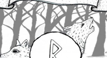 La playlist de la semaine #14