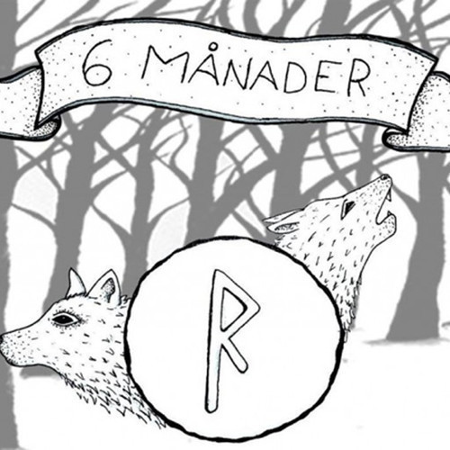 La playlist de la semaine #14