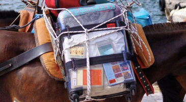 La valise transparente qui n&rsquo;a rien à cacher