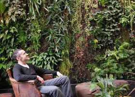 La vie à l&rsquo;ombre… d&rsquo;un mur végétal