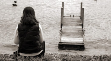 Le bilan de l’année