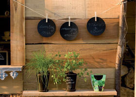 Le bonheur est sur le balcon !