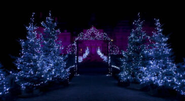 Le château de Vaux-le-Vicomte fête Noël