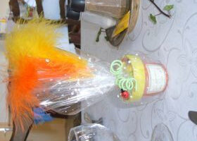 Le haricot magique !