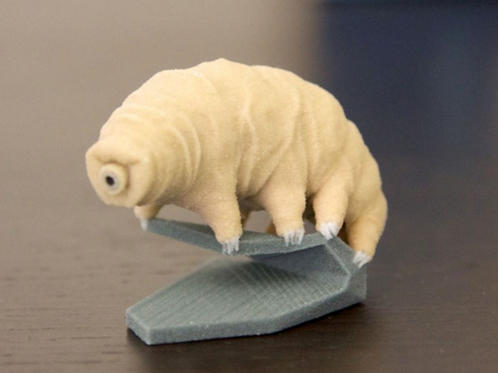 Le (micro) monde fantastique des tardigrades
