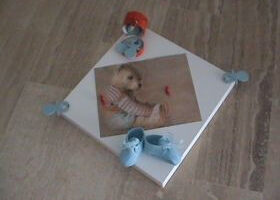 Le monde des bébés