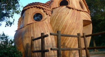 Le refuge de ces trois hiboux n&rsquo;attend que vous !