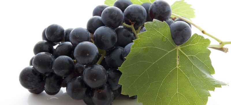 Le resveratrol, une solution anti-vieillissement 100% naturelle