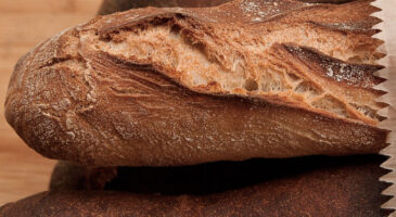 Les anecdotes de Cora #5