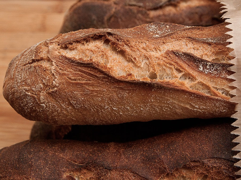 Les anecdotes de Cora #5