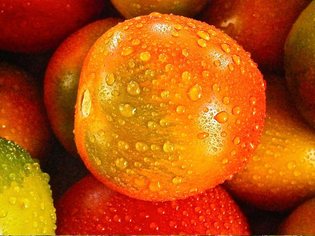 Les cinq aliments les plus désaltérants