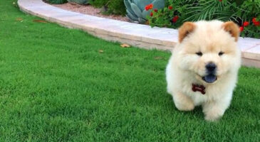 Les hashtags sur lesquels il ne faut pas cliquer sur Instagram