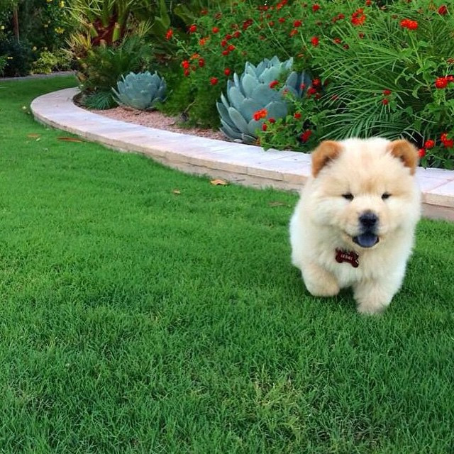 Les hashtags sur lesquels il ne faut pas cliquer sur Instagram