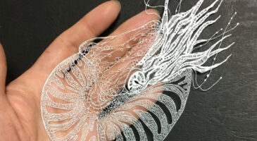 Les merveilleux découpages de Kiri Ken