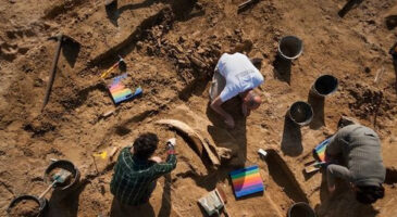Les métiers que j&rsquo;aurais adoré faire