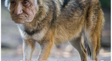 Les tweets qui m&rsquo;ont faire rire cette semaine #12