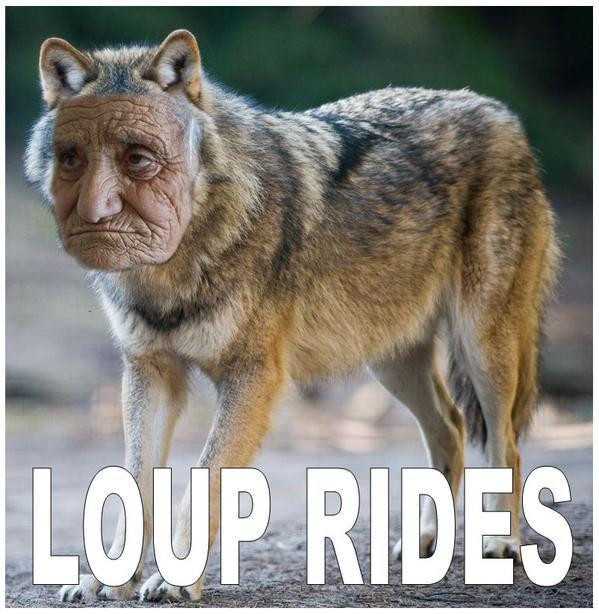 Les tweets qui m&rsquo;ont faire rire cette semaine #12