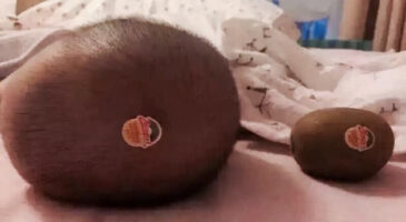 Les tweets qui m&rsquo;ont faire rire cette semaine #36