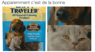 Les tweets qui m&rsquo;ont faire rire cette semaine #44