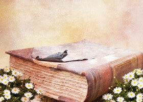 Fées, princes, royaumes et épées : me voilà !