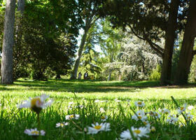 48 h dans la peau d&rsquo;une Madrilène