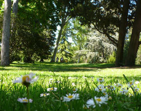 48 h dans la peau d&rsquo;une Madrilène